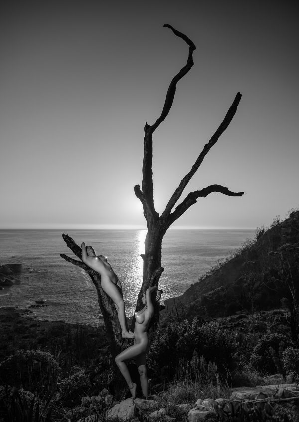 Sentinel of Light