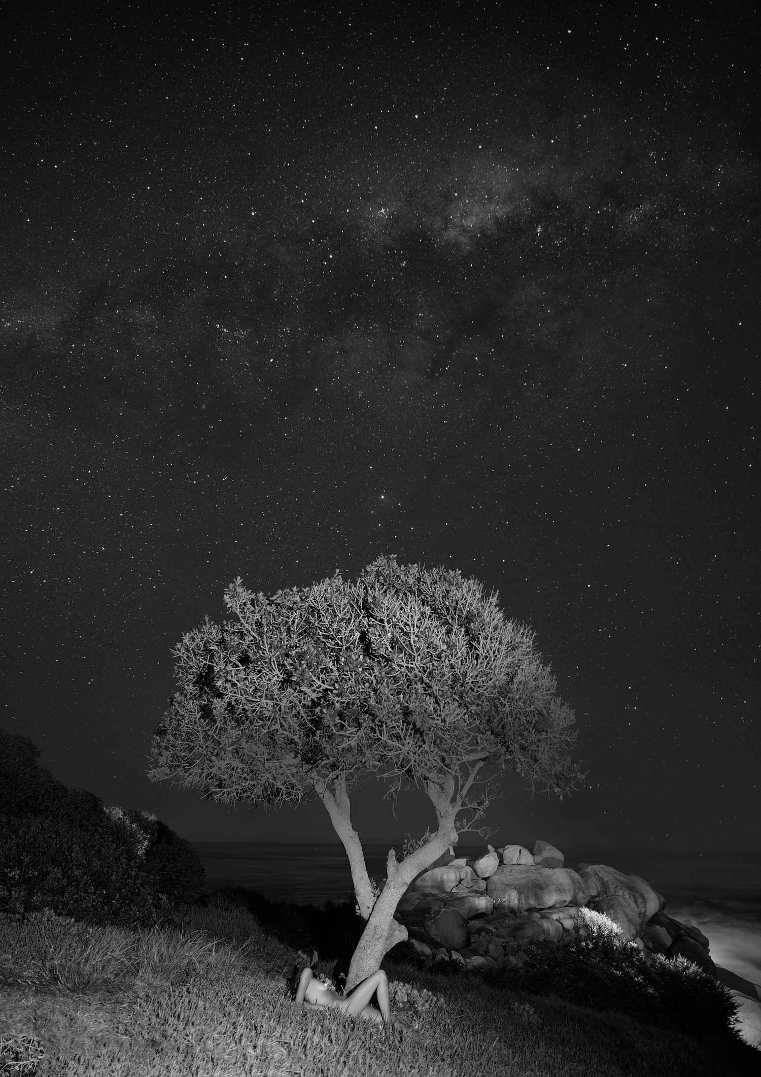 Becoming Stardust